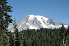 Mt. Rainier